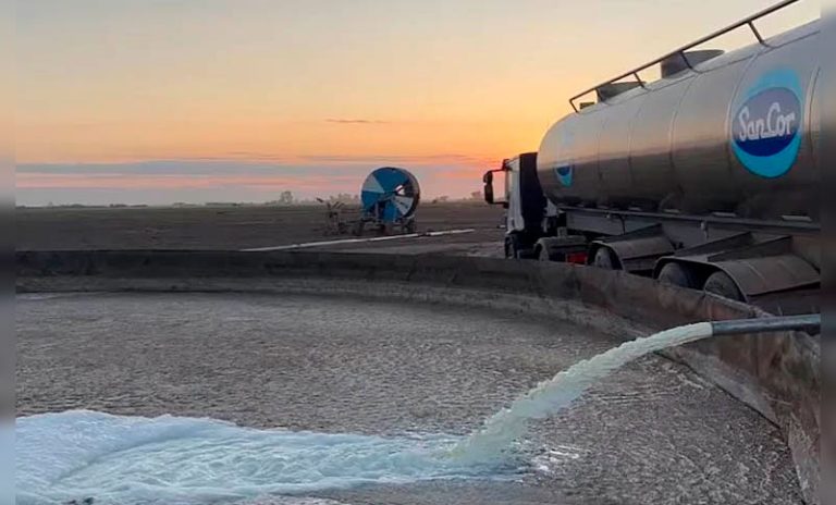 Sancor ya derramó 100 mil litros de leche culpando al conflicto laboral y exige conciliación obligatoria
