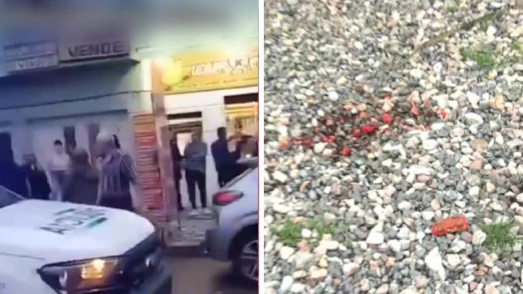 Brutal crimen en Valentín Alsina: un hombre fue a comprar a una pollería, lo mataron para robarle y su hijo de cuatro años quedó adentro del auto