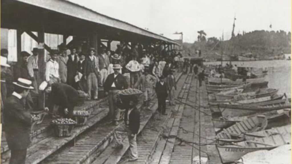 En la década del '30 el Puerto de Frutos de Tigre fue construido para desembarcar los productos cosechados en el Delta.