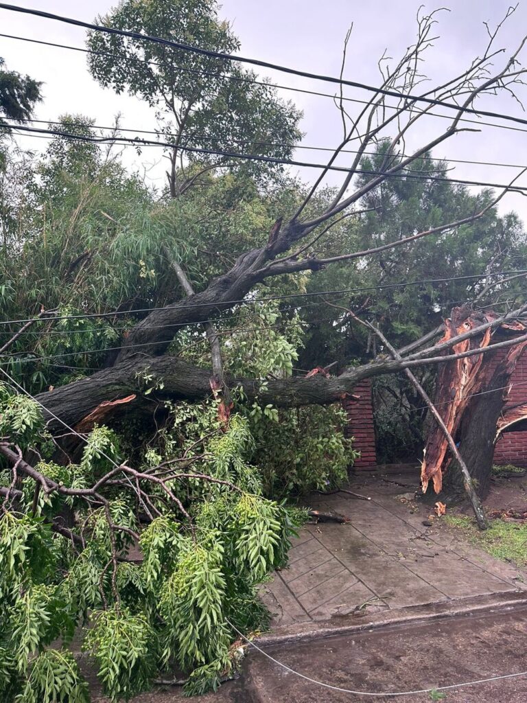 Temporal en el AMBA, temporal en el Conurbano, cortes de luz