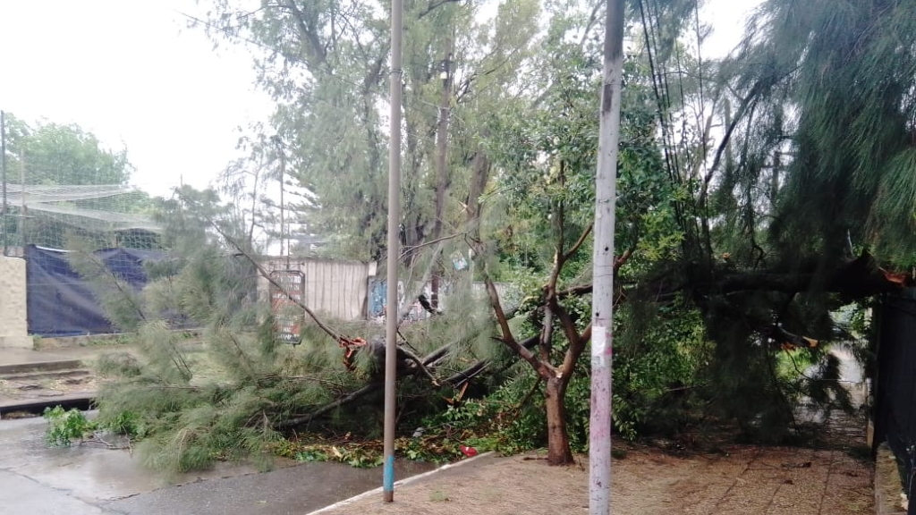 Temporal en el AMBA, temporal en el Conurbano, cortes de luz