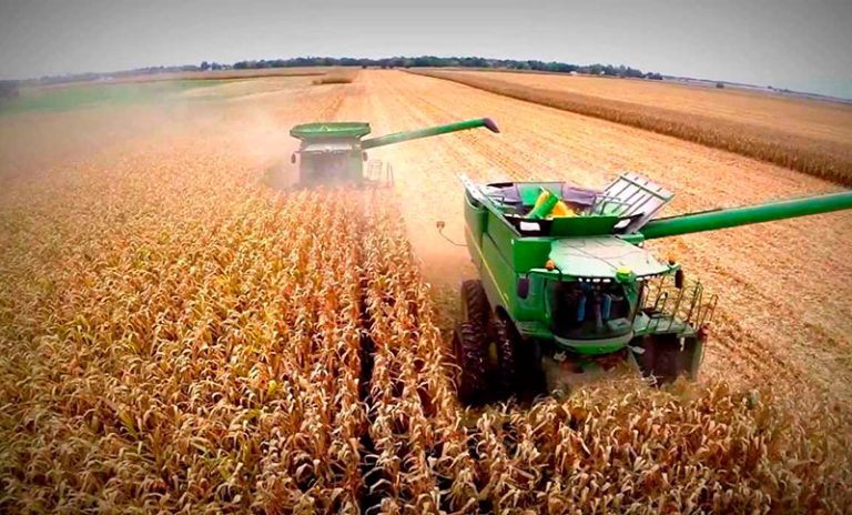 El campo, satisfecho con la eliminación del capítulo fiscal de la Ley de Bases