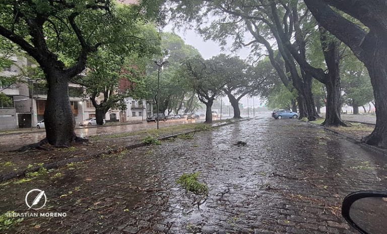 Tras la lluvia, vendrían fuertes vientos por la tarde: piden que los rosarinos extremen cuidados