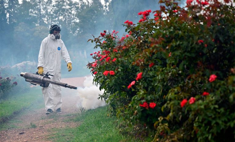 Continúan los operativos de fumigación en los espacios verdes