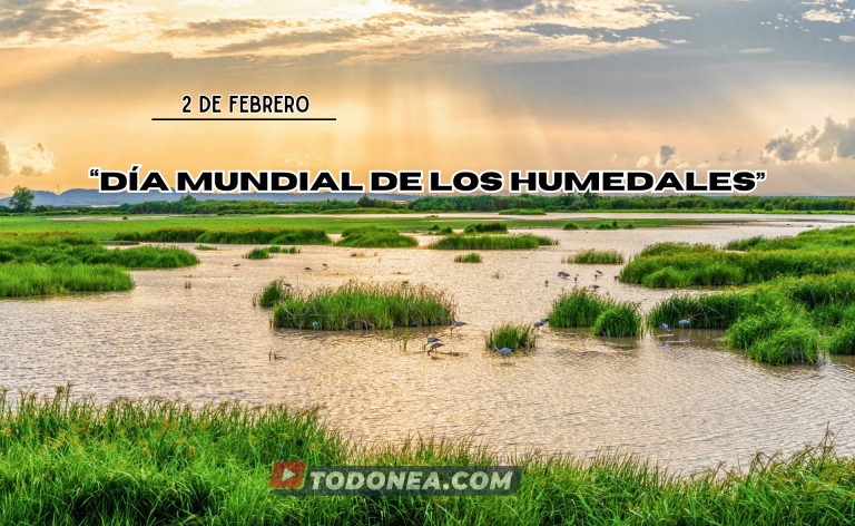 🔴 EFEMÉRIDES | 2 de Febrero: «Día mundial de los Humedales»