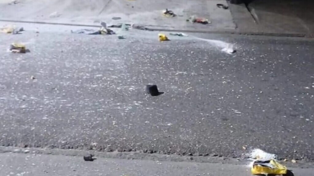 Sofía Chaparro, cocaína, Salta, policía
