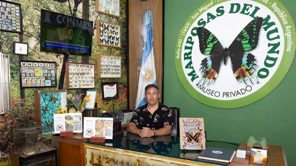 Museo Mariposas del Mundo, San Miguel