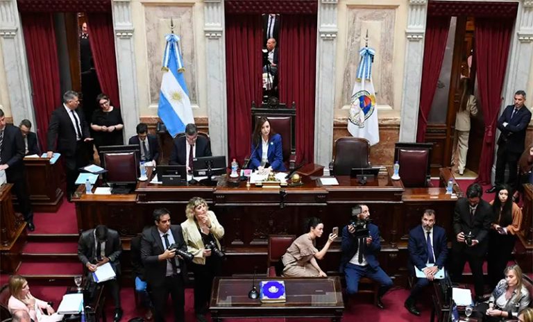 Marcelo Lewandowski: “Debemos tratar el DNU en el Senado, ya no hay más plazos”