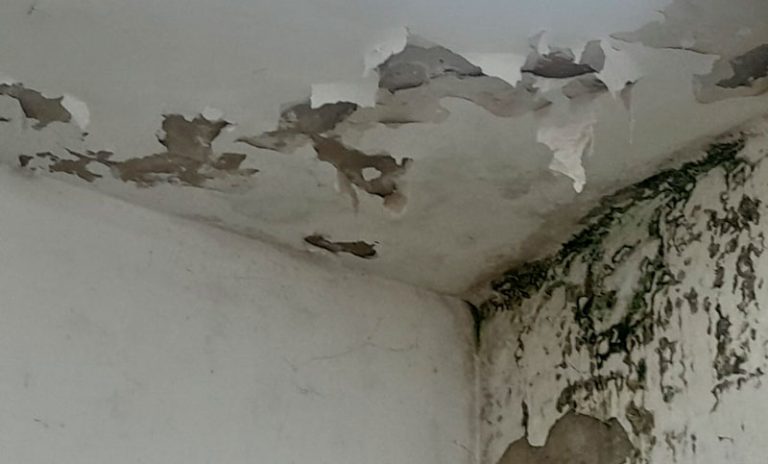 Denuncian más de 20 escuelas con peores condiciones edilicias a las del año pasado