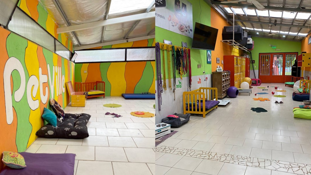 El spa Petville cuenta con todas las comodidades para que los perros del presidente Javier Milei estén a gusto.