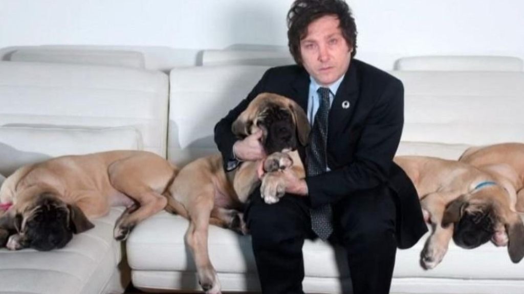 Javier MIlei con sus cuatro perros, todos clonados del original, el fallecido Conan. Afirman que los animales se llevan muy mal entre si.