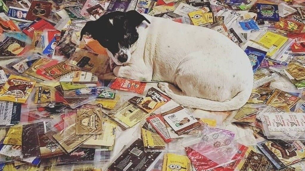 La perra del vecino de Villa Bosch, entre cientos de envoltorios de alfajores de la colección.