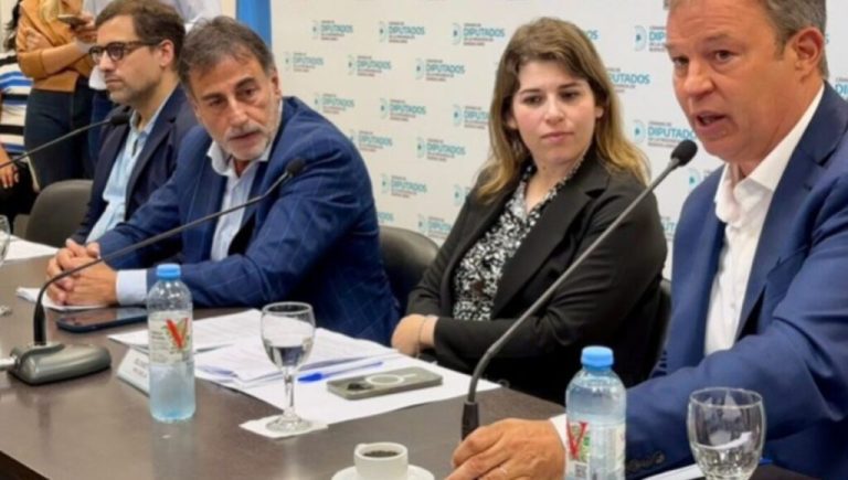 Cómo es el proyecto de Mariano Cascallares que es ley y terminará con las inundaciones en cinco municipios del Conurbano