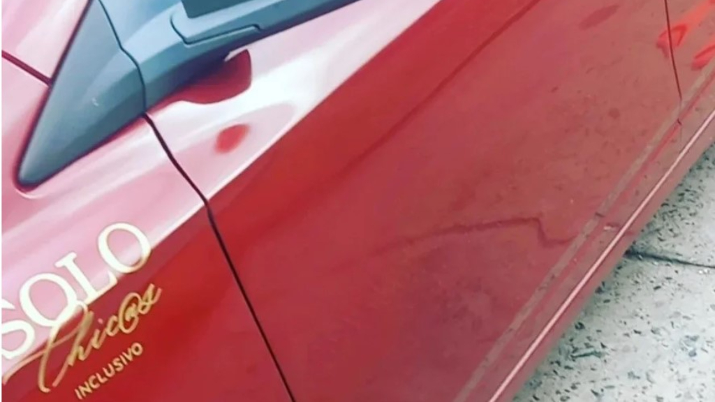 El logo de los autos de 'Solo chicas', una marca diferente en el ámbito de las academias de manejo.