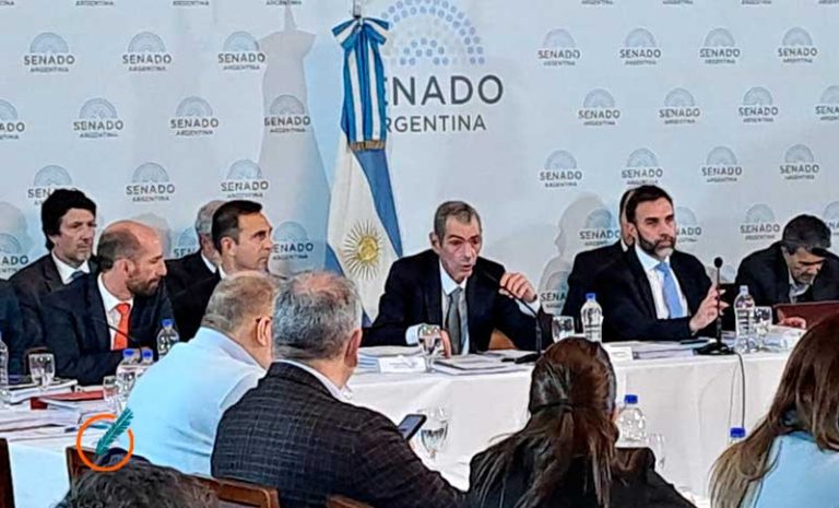 Parrilli: «La exposición del secretario de Energía, parecía representar a una empresa de petrolera»