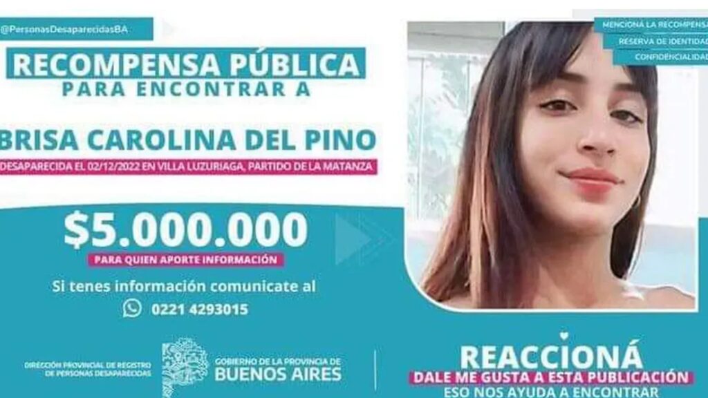 Brisa del Pino, Villa Luzuriaga
