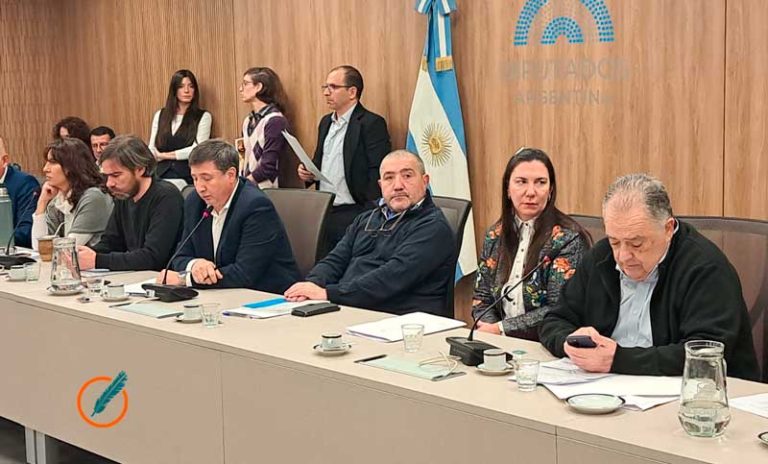 Discapacidad: hubo dictamen de mayoría al proyecto que refiere a los servicios de prestaciones básicas