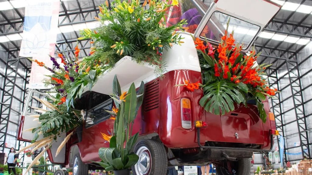 Ke Personajes tocará gratis en la tradicional Fiesta del Plantín Floral de Moreno: cuándo será el recital