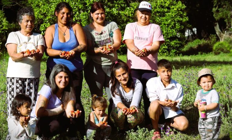 Primera cosecha de frutilla sin agrotóxicos en el Polo Agrario Campesino EPAS de Desvío Arijón