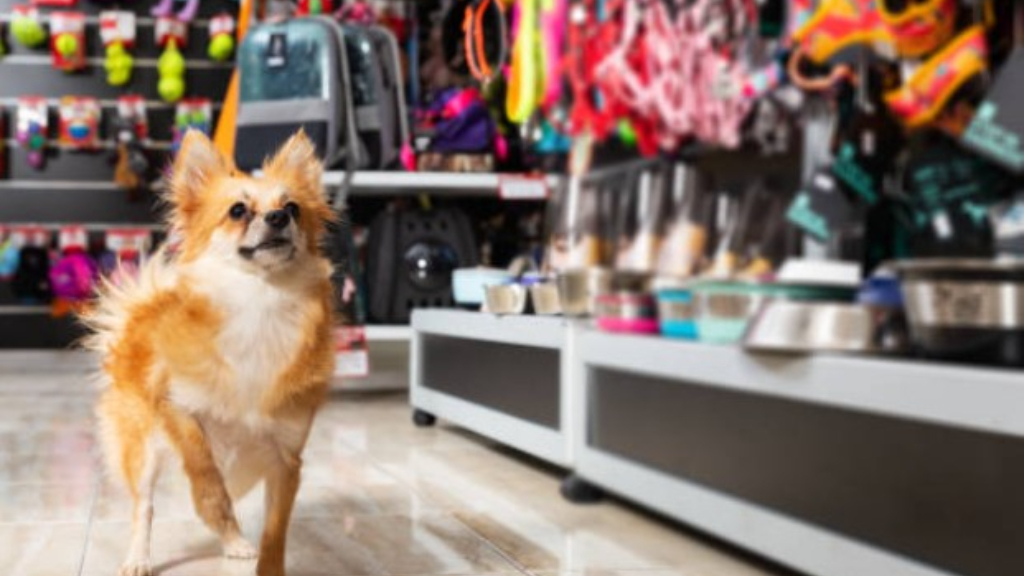 Huellas Pet Shop, en la Avenida Rolón, formará parte de la lista de negocios que adhiere a Boulogne Ahorra.