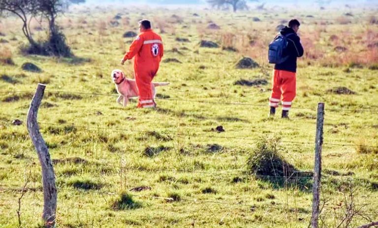 Caso Loan: ordenan nuevos rastrillajes en la zona de «El Algarrobal»