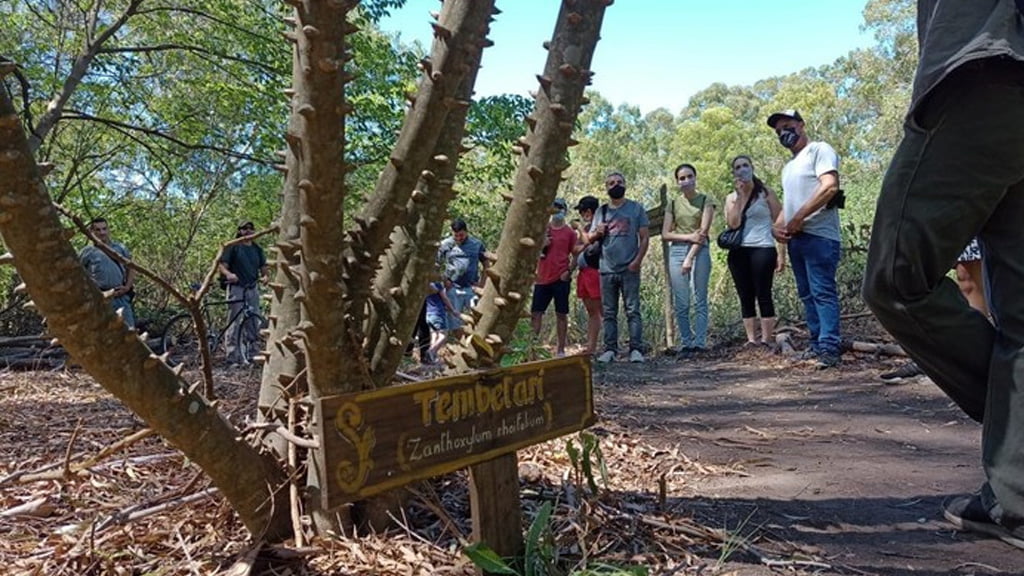 Construyen un parque ambiental en la Reserva Santa Catalina: qué se puede hacer en uno de los grandes pulmones verdes del Conurbano