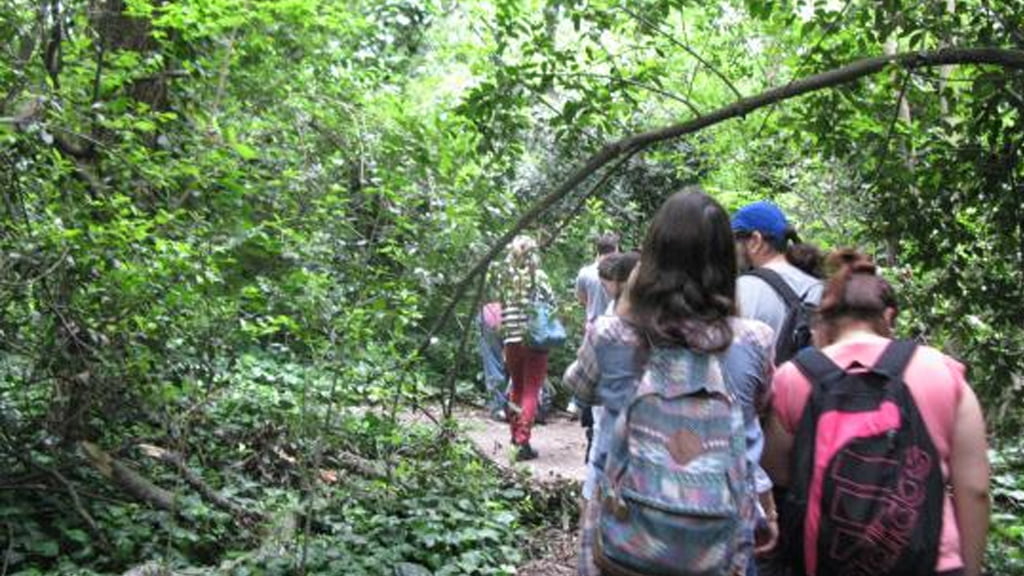 Construyen un parque ambiental en la Reserva Santa Catalina: qué se puede hacer en uno de los grandes pulmones verdes del Conurbano