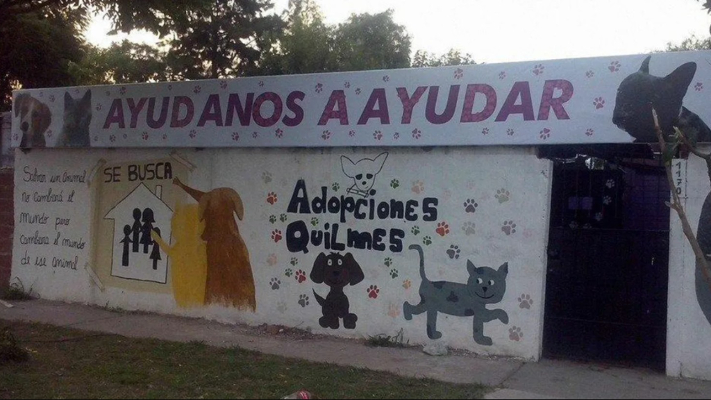 Adopciones Quilmes recibió una donación de $ 2.000.000 del Mono de Kapanga, luego de ganar en el programa Pasapalabra.