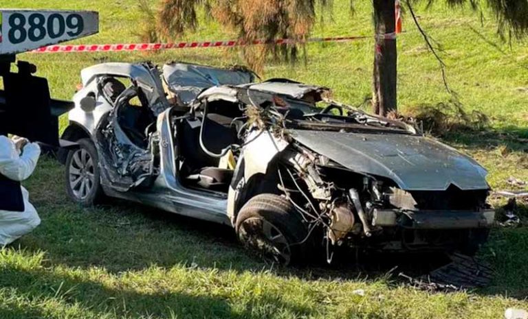 Buenos Aires: cinco muertos y un herido grave en un vuelco en autopista Panamericana