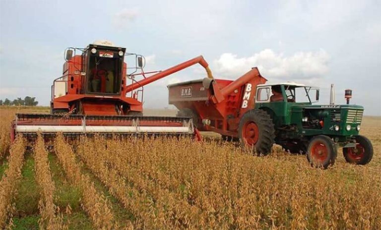Los productores de soja, en un momento delicado: el combo económico que los tiene en jaque