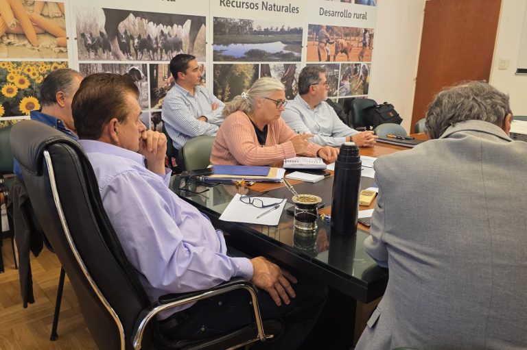🔴 PROVINCIALES | Chaco logró la homologación de la emergencia por sequía