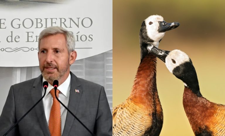 En una caliente audiencia pública, el Gobierno de Entre Ríos expuso sus intenciones de autorizar la matanza de aves autóctonas