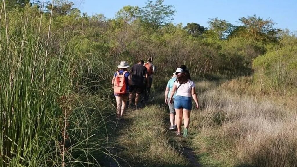 Moreno, Humedal, recorridos gratuitos