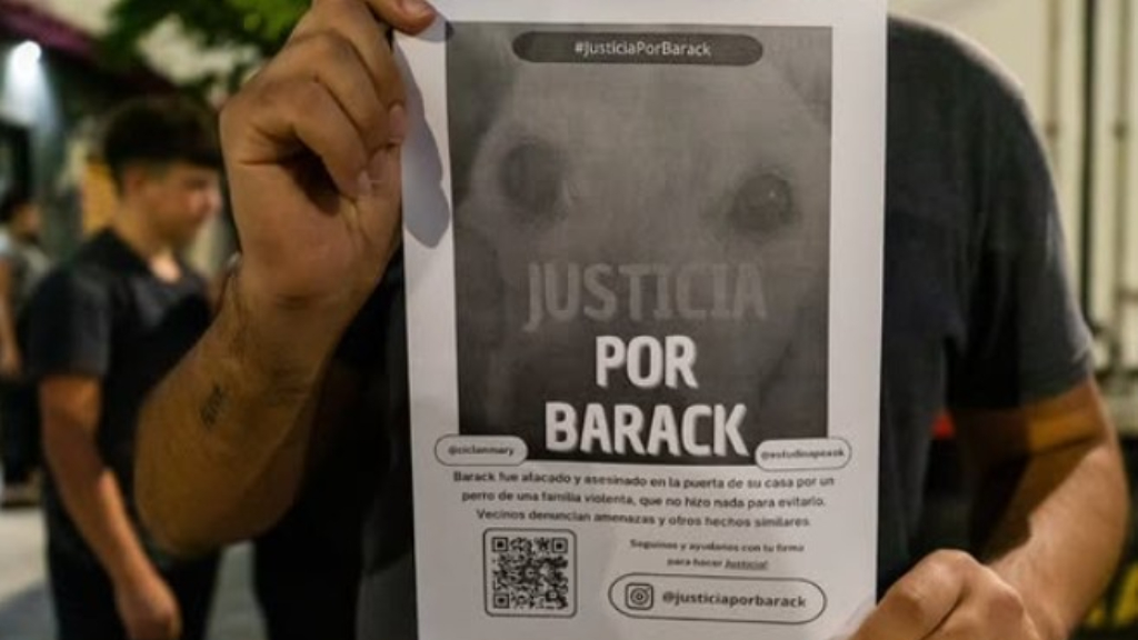 El ataque en plena calle de un pitbull a Barack, el perro de una vecina, disparó la nueva ordenanza que regula la tenencia de mascotas en Lanús.