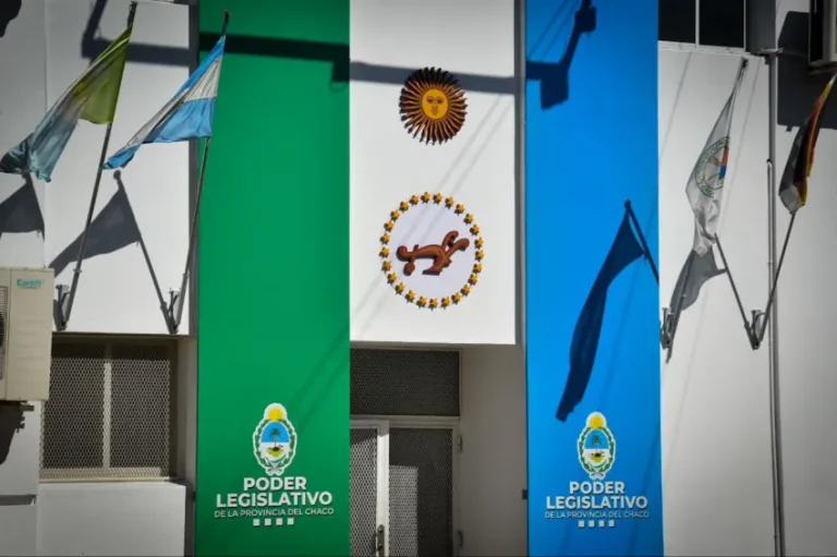 🔴 PROVINCIALES | Comenzó la sesión de diputados chaqueños con la salud mental como eje central
