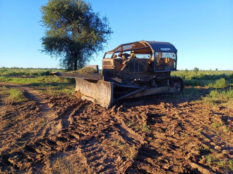 馃敶 PROVINCIALES | Primeros resultados de las camionetas con conectividad satelital: se fren贸 un desmonte ilegal cerca de Los Frentones
