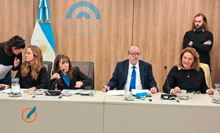 «El Garrahan se está desangrando», afirmaron jefas de Medicina en Comisión de Diputados