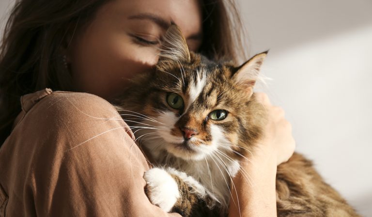 🔴 EFEMÉRIDES | DÃa de Abrazar a tu Gato: por qué se celebra este miércoles 4 de junio