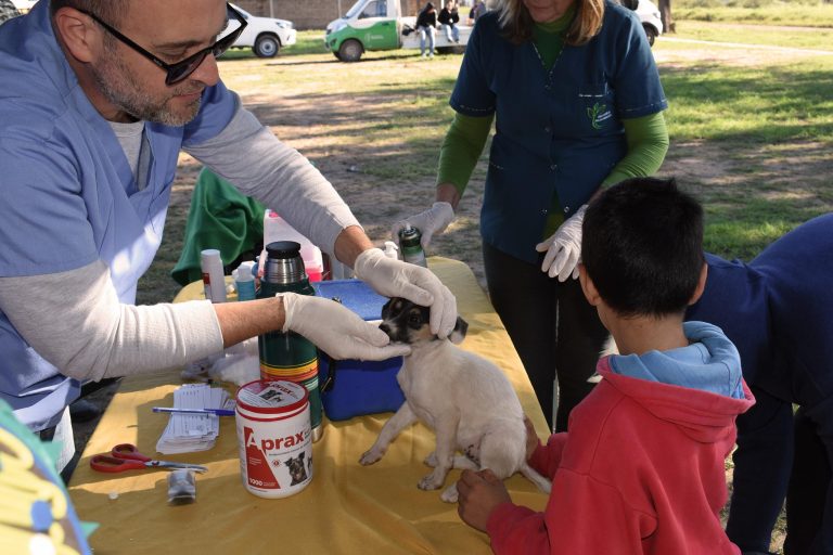 🔴 PROVINCIALES | ”Dejando huellas”: el programa provincial de protección animal llegó a la zona sur de Resistencia