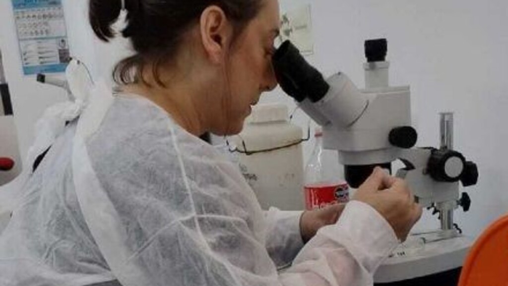 asma, enfermedades respiratorias, Conurbano