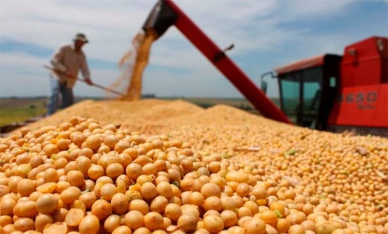 “Está en riesgo la seguridad alimentaria de los argentinos”: dura advertencia sobre los recortes de Milei al sector agropecuario