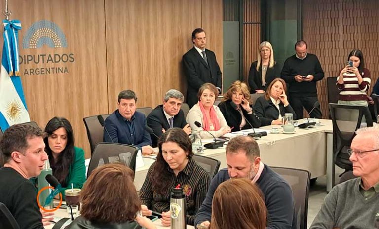 El ministro Mario Lugones no asistió a la Comisión de Salud y será interpelado por la oposición