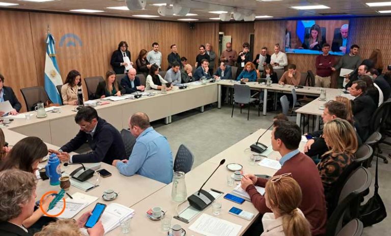 Diputados: se postergó hasta la semana próxima la creación de la comisión que investigará sobre fentanilo