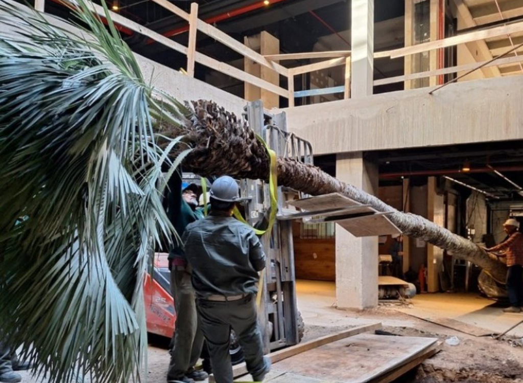 La inversión prevista para hacer el nuevo shopping OH! Buenos Aires supera los 20 millones de dólares y promete revitalizar la zona de las avenidas Libertador y Pueyrredón.