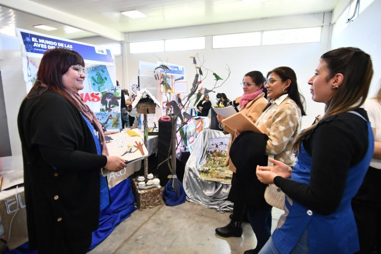 🔴 PROVINCIALES | Cerró la Feria Provincial de Ciencias 2025: 20 proyectos destacados representarán a Chaco en las instancias nacionales