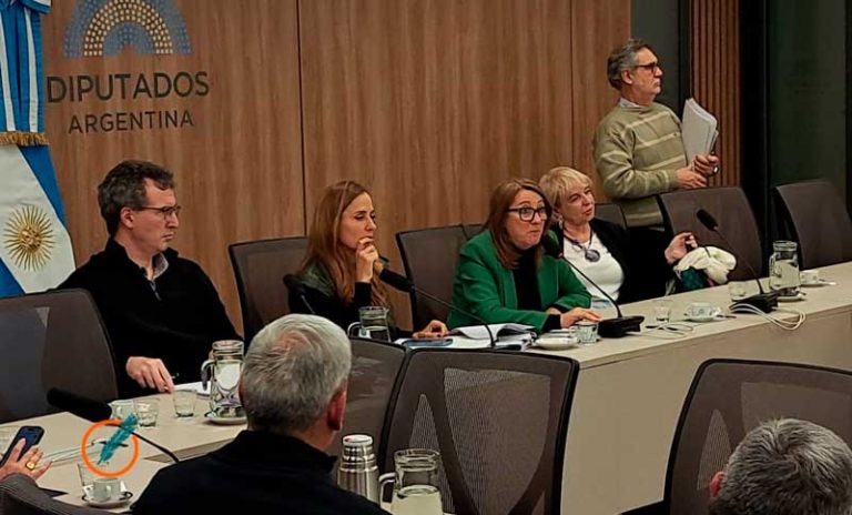 Fentanilo: Mónica Fein destacó que la Comisión investigadora recibió «importantes informes de Anmat y del juez de la causa»