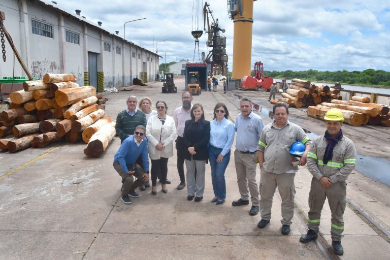 🔴 PROVINCIALES | El puerto de Barranqueras incorporó nuevo equipamiento para fortalecer el servicio al sector productivo