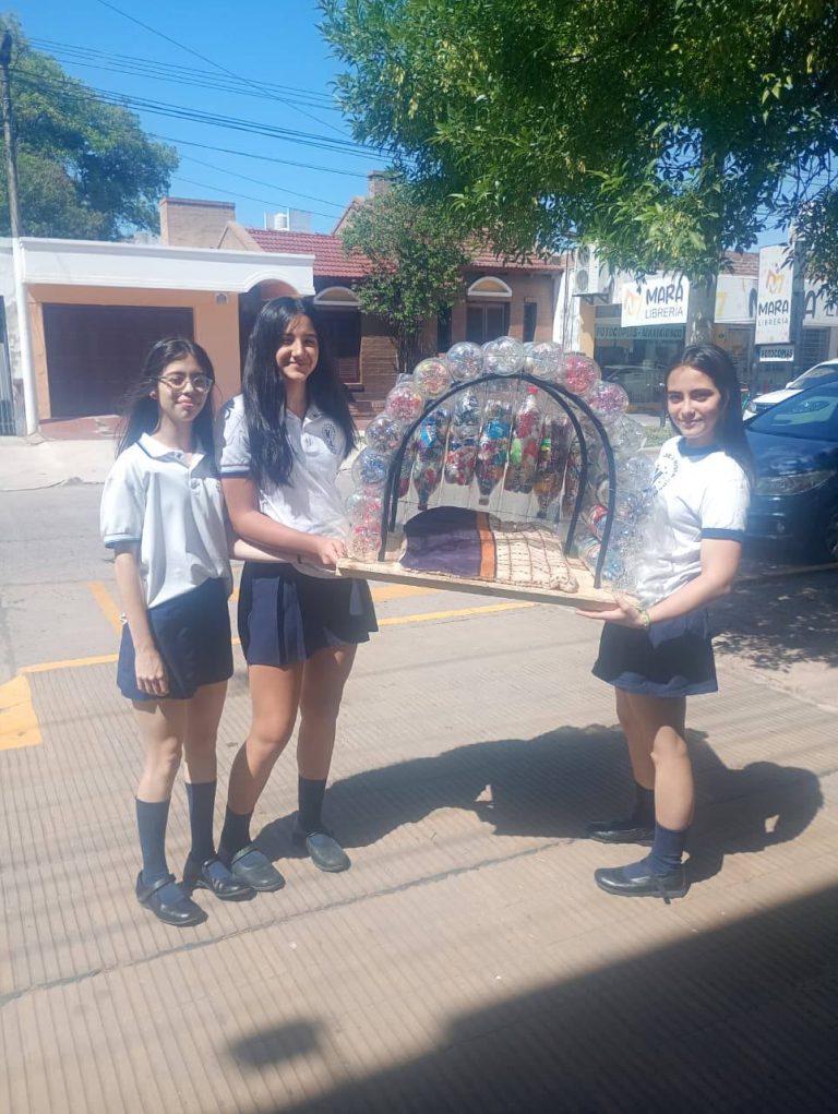馃敶 S脕ENZ PE脩A | Alumnos del Misericordia fabricaron casitas recicladas para animales en situaci贸n de calle