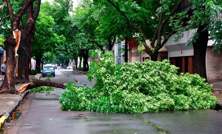 Emergencia 103: guía práctica para prevenir riesgos en el hogar y el barrio