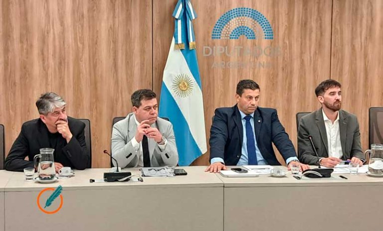 La Comisión de Intereses Marítimos, Fluviales, Pesqueros y Portuarios trató la crisis ictícola en el río Paraná
